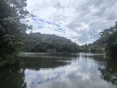 -广州市石门国家森林公园