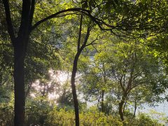 -广州白江湖森林公园