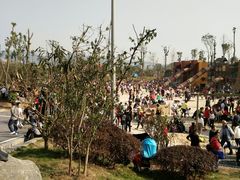 -枫香湖儿童公园