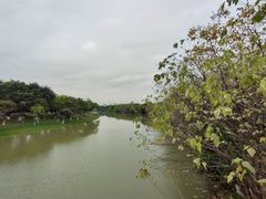-海珠湖公园