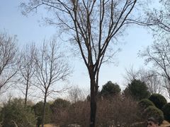 -燕郊植物园