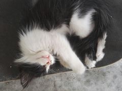 -五月木作·DIY木作文创体验店(北京路店)