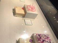 -BLACKSWAN黑天鹅(环球店)
