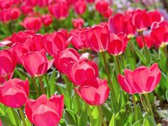 -玄武湖景区-情侣园游乐场