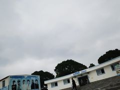 -碧海金沙