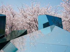 -龙美术馆(西岸馆)