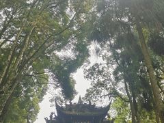 -青城山