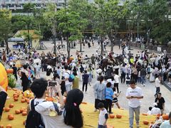 -灵玲国际马戏城