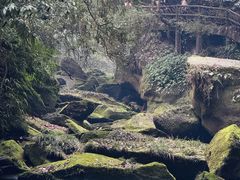-碧峰峡风景区
