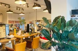 -净漪造型 PURE RIPPLE