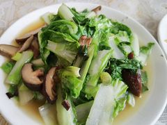 香菇青菜-泾源服务区吴忠特色餐厅