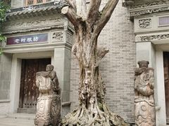 -龙潭水乡