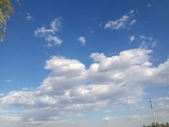 -永定河休闲森林公园