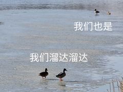 -大兴滨河森林公园