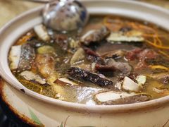 -杨记山珍鸡煲菌汤锅