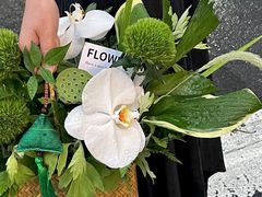 -Flower in(密渡桥店)