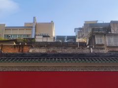 -越秀西湖花市(广州城市广场花卉店)