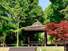 -华东政法大学(松江校区)