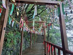-秦岭天竺山生态文化旅游景区