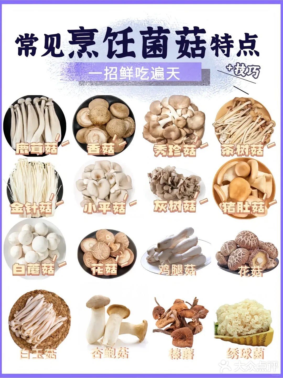 牛排菇 食用方法图片