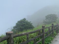 -银瓶嘴森林公园