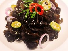 芥末木耳-渔家风味·鲅鱼水饺·央视展播·海鲜天津菜(开发区店)