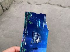 -重庆欢乐海底世界