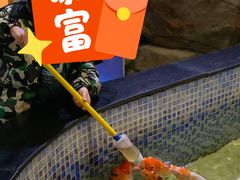 -烟台海昌鲸鲨海洋公园