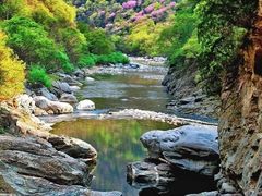 -黑河国家森林公园