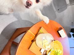 -素咫咖啡CLIFEROSE(新安店)