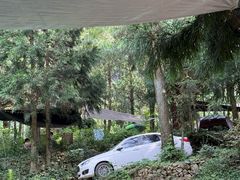 -重庆睡佛山森林公园
