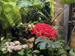 -颐而康·按摩·艾灸·足疗(南岸晶都店)