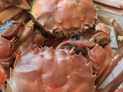 -东方红海鲜百汇(国际大厦店)