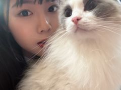 -和它·交个朋友·狗咖猫咖(爱琴海店)