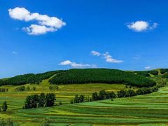 -斑马飞扬传媒·企业影视制作服务商(北京店)