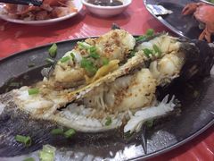 -板桥海鲜广场(文明东店)