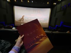 -寰映影城(大融城激光IMAX店)