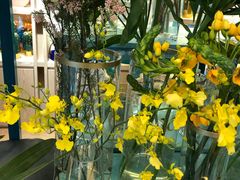 -BoBloom花店(晶耀前滩店)