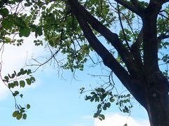 -荔湾湖公园