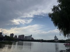 -莲花池公园