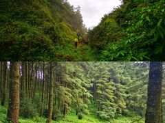 -巍山古城