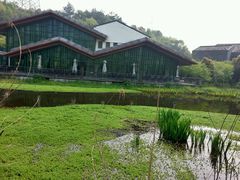 android_upload_pic-西湖风景区-江洋畈生态公园