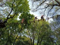 -WeLope紫金山探险公园