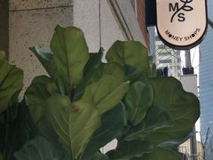 -Money Shops(愚园路店)