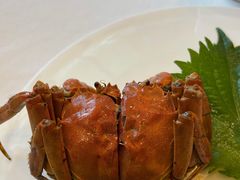 -洋洋中餐馆·SINCE 1997(信投店)