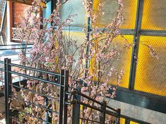 -辛氏火炉·韩式古法烤肉(松北店)