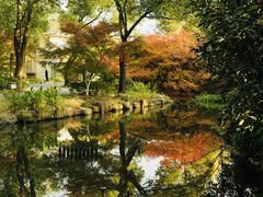 -上海共青森林公园