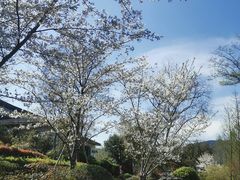 -雅达·阳羡溪山小镇中心