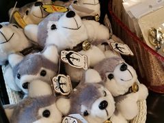 -TrueLove @ Neverland (Husky Cafe)