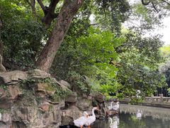 -兰亭风景区